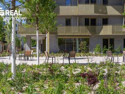 Terrassenwohnung kaufen in 1210 Wien (Bild 1)