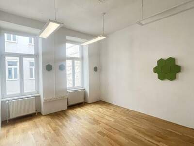 Gewerbeobjekt mieten in 1010 Wien (Bild 4)