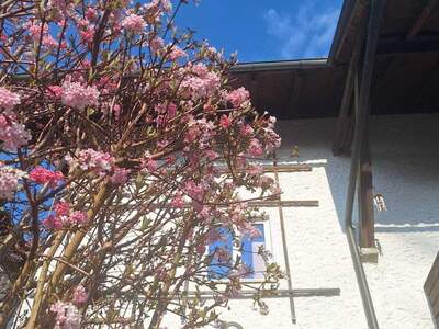 Haus kaufen in 4910 Ried (Bild 2)