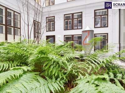 Wohnung kaufen in 1010 Wien (Bild 3)