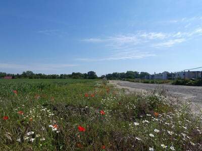 Grundstück kaufen in 2474 Gattendorf