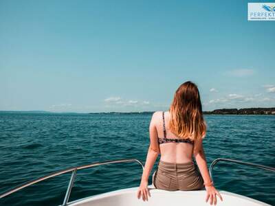 Gewerbeobjekt kaufen in 6900 Bregenz (Bild 4)