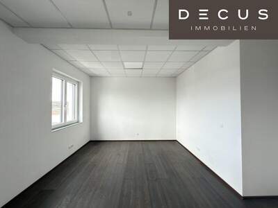 Büro / Praxis mieten in 3462 Absdorf (Bild 1)