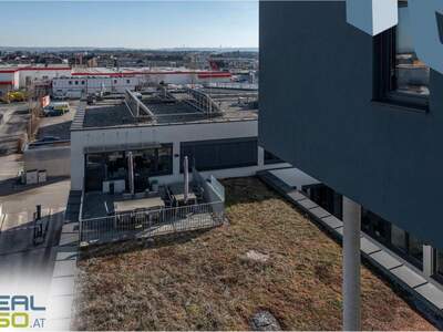 Gewerbeobjekt mieten in 4061 Pasching (Bild 3)