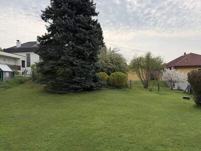Haus mieten in 4060 Leonding (Bild 2)
