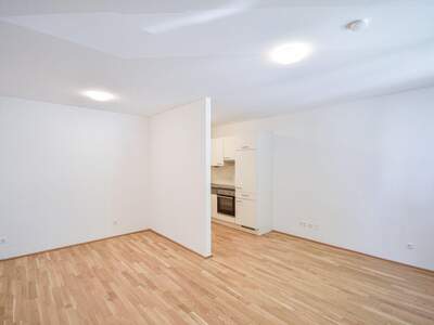 Wohnung mieten in 1200 Wien (Bild 1)