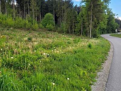 Grundstück kaufen in 9220 Velden