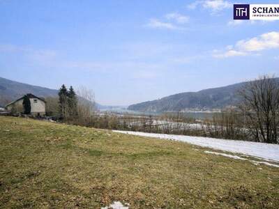 Grundstück kaufen in 3681 Hofamt Priel (Bild 5)