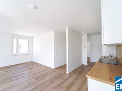 Terrassenwohnung mieten in 3451 Michelhausen (Bild 4)