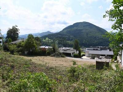 Grundstück kaufen in 3340 Waidhofen