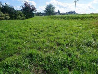 Grundstück kaufen in 4910 Ried (Bild 2)
