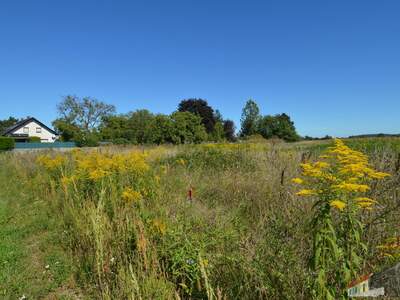 Grundstück kaufen in 2700 Wr. Neustadt (Bild 1)