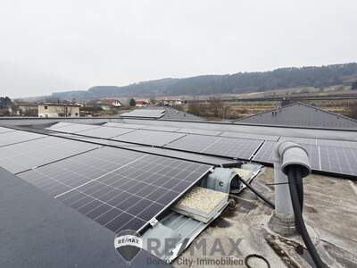 Reihenhaus kaufen in 3134 Nußdorf (Bild 4)