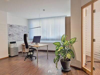 Gewerbeobjekt mieten in 4690 Schwanenstadt (Bild 4)