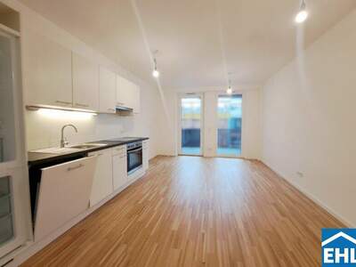 Terrassenwohnung mieten in 1030 Wien (Bild 1)