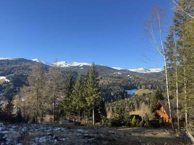 Grundstück kaufen in 8742 Mönchegg (Bild 4)