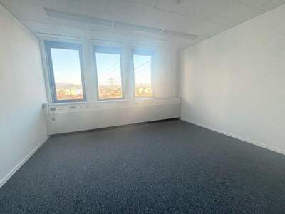 Gewerbeobjekt mieten in 2351 Wiener Neudorf (Bild 5)