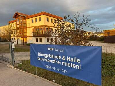 Gewerbeobjekt mieten in 2700 Wiener Neustadt (Bild 3)