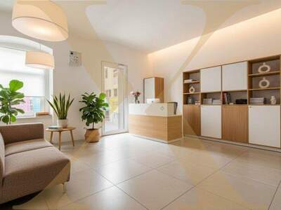 Büro / Praxis mieten in 4020 Linz (Bild 1)