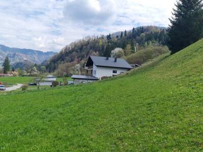 Grundstück kaufen in 4463 Großraming (Bild 4)