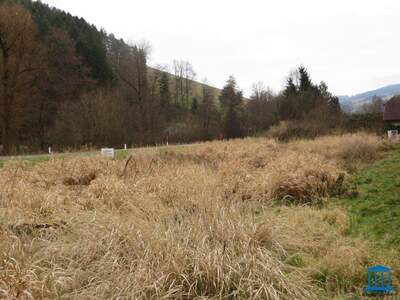 Grundstück kaufen in 2853 Krumbach