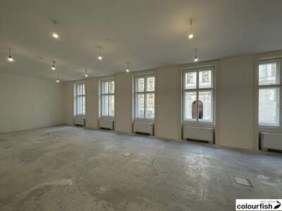 Gewerbeobjekt mieten in 1010 Wien (Bild 2)