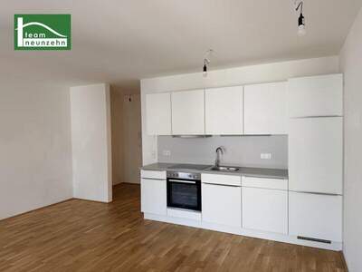 Terrassenwohnung mieten in 1160 Wien (Bild 2)