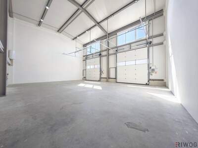 Gewerbeobjekt mieten in 3425 Langenlebarn