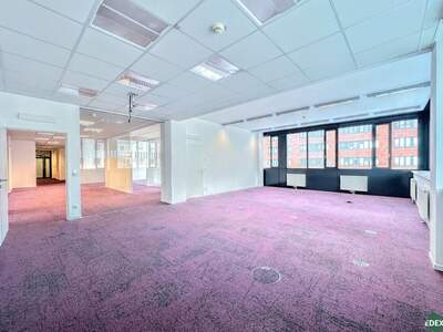 Gewerbeobjekt mieten in 1200 Wien (Bild 4)