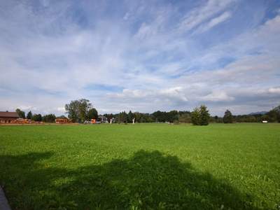 Grundstück mieten in 6890 Lustenau