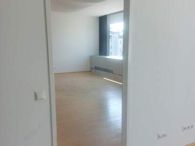 Gewerbeobjekt mieten in 4600 Wels (Bild 5)