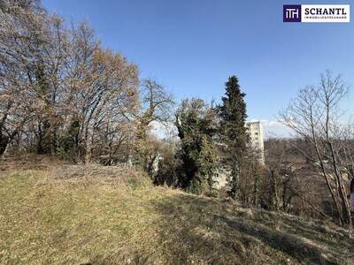 Grundstück kaufen in 8052 Graz (Bild 3)