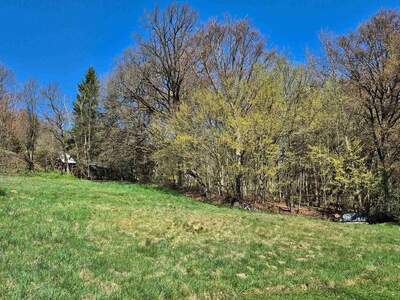 Grundstück kaufen in 9062 Moosburg (Bild 3)