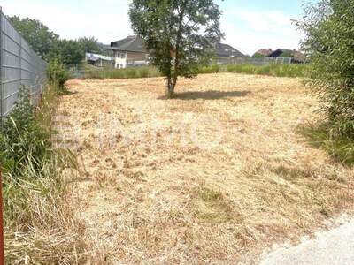 Grundstück kaufen in 4311 Schwertberg