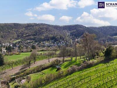 Grundstück kaufen in 3400 Klosterneuburg (Bild 3)