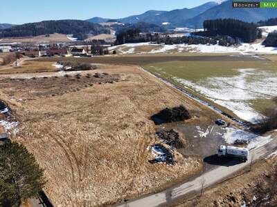 Gewerbeobjekt kaufen in 8741 Baierdorf (Bild 2)