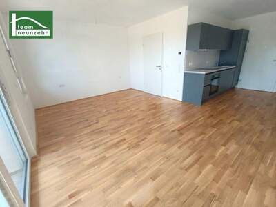 Terrassenwohnung mieten in 3100 St. Pölten (Bild 3)