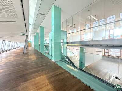 Gewerbeobjekt mieten in 1010 Wien