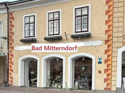 Gewerbeobjekt kaufen in 8983 Bad Mitterndorf