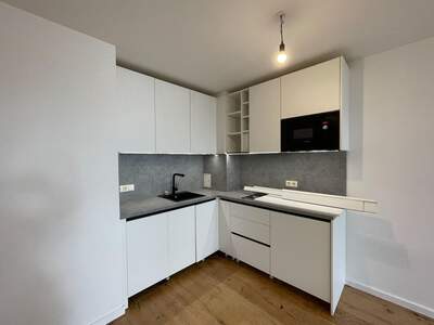 Altbauwohnung mieten in 1190 Wien (Bild 2)