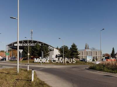 Gewerbeobjekt mieten in 8041 Graz