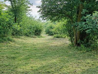 Grundstück kaufen in 2100 Leobendorf (Bild 4)