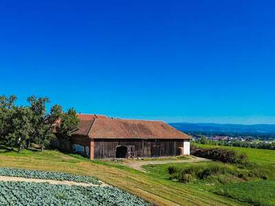 Bauernhof kaufen in 4612 Herrnholz