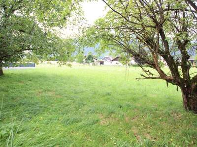 Haus kaufen in 9162 Strau (Bild 5)