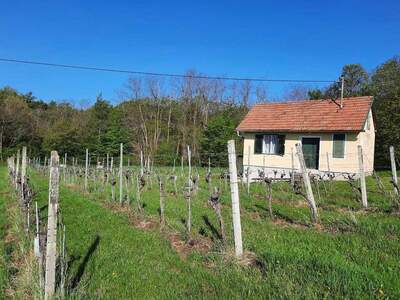 Immobilie kaufen in 7474 Eisenberg (Bild 2)