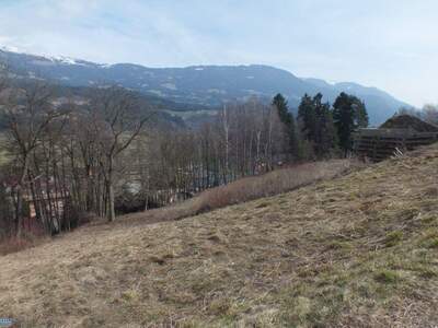 Grundstück kaufen in 9711 Paternion (Bild 3)