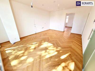 Terrassenwohnung kaufen in 1140 Wien (Bild 3)