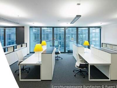 Gewerbeobjekt mieten in 1200 Wien (Bild 4)