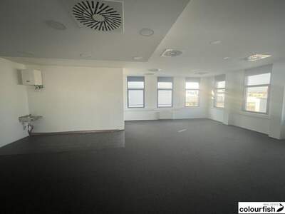 Gewerbeobjekt mieten in 1230 Wien (Bild 5)