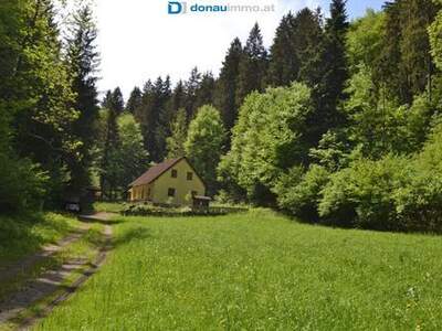 Haus kaufen in 2831 Warth